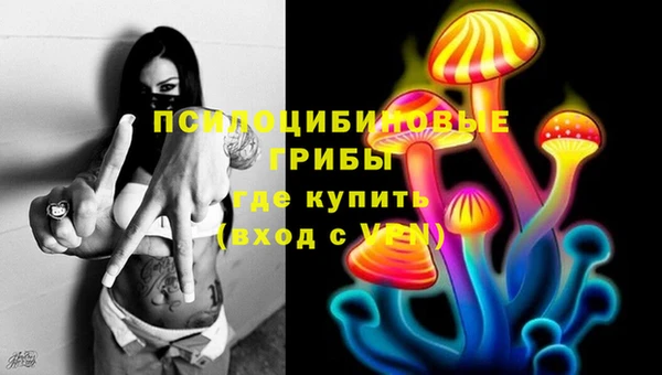 гашик Красноперекопск
