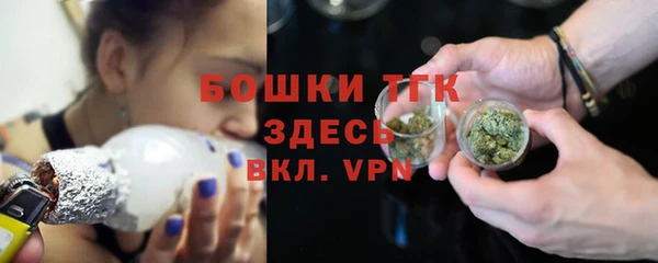 тгк Краснослободск